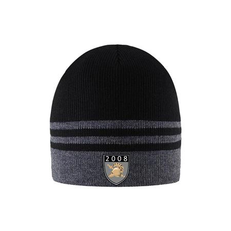 2008 Beanie