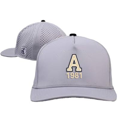 1981 Stretch Fit  Ball Cap