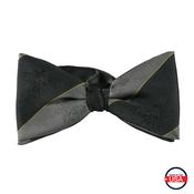 Tone on Tone Silk Banded  Bow Tie