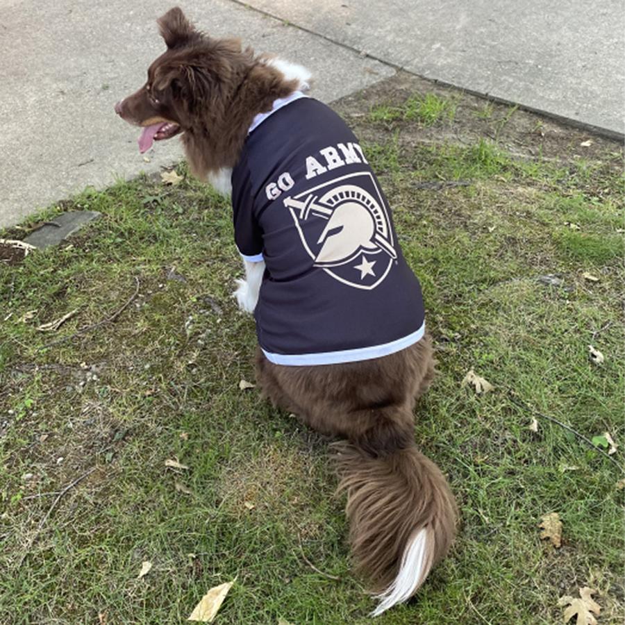 ALL STAR DOGS Mesh Dog Jersey